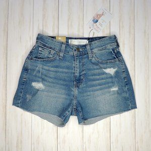 Levi's High Rise Shorts
